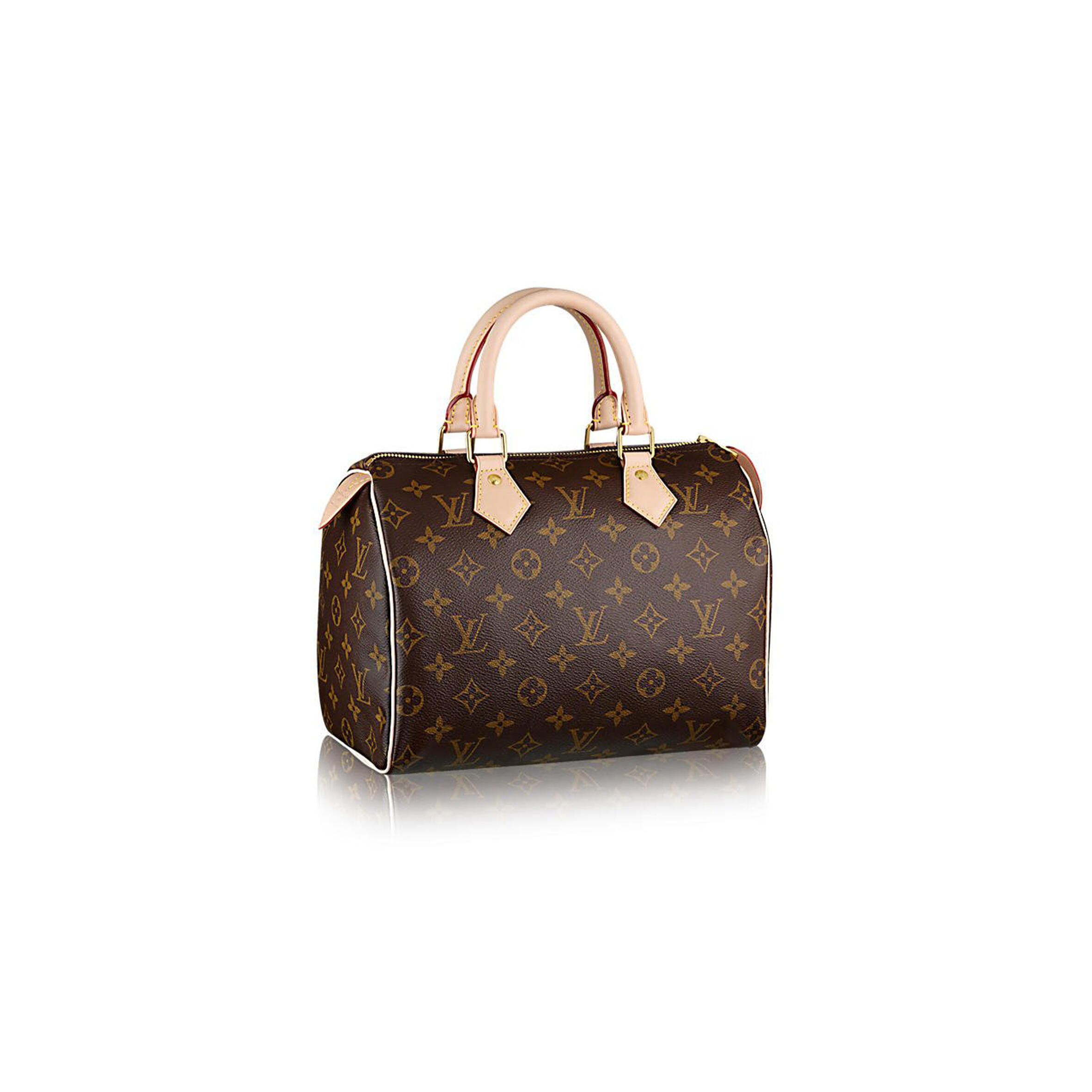 LOUIS VUITTON SPEEDY 25 M41109 (25*19*15cm)